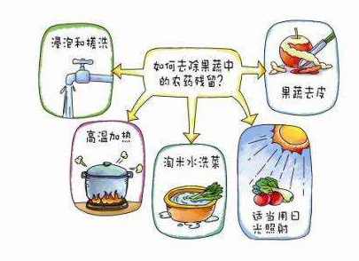 如何減少農(nóng)藥污染去除農(nóng)藥殘留？振華化工總結(jié)以下幾點(diǎn)分享給大家